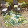 exterior botanico monstera en verde