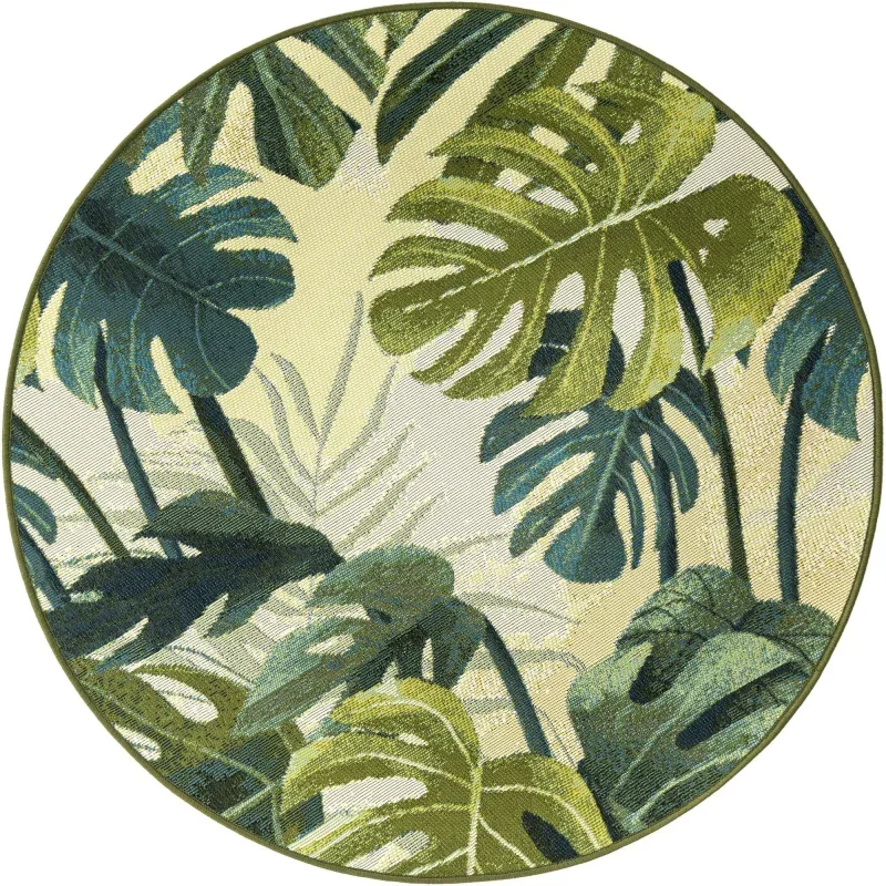Tapete Exterior Botánico Monstera en Verde