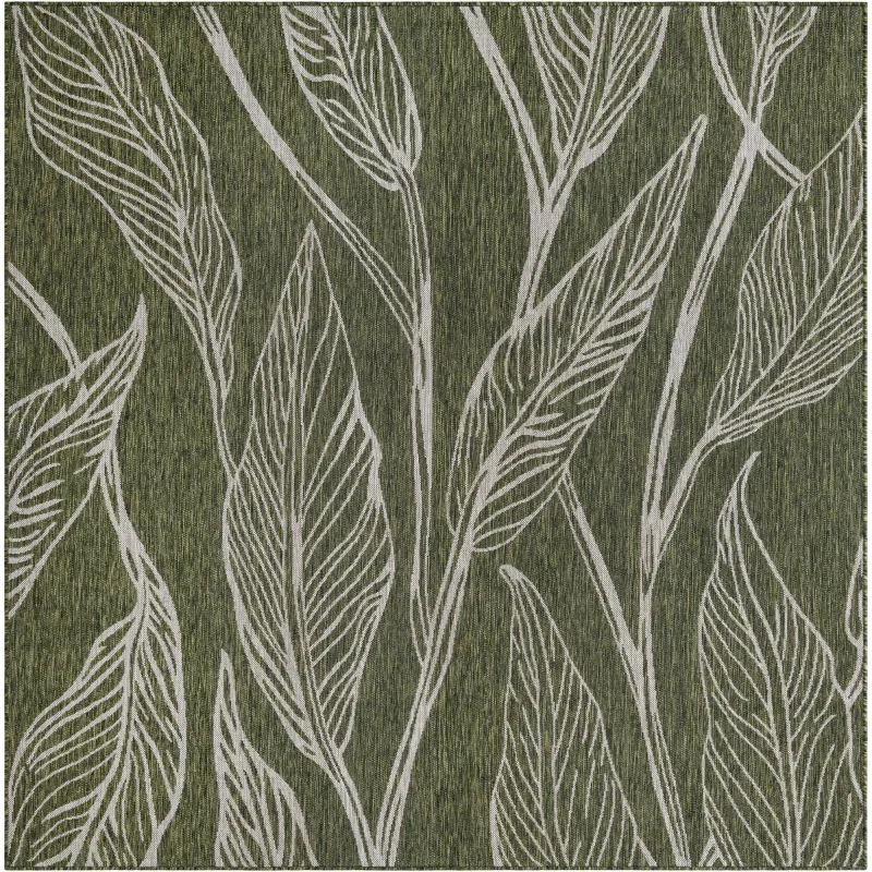 exterior botanico tallos en verde