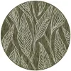 exterior botanico tallos en verde