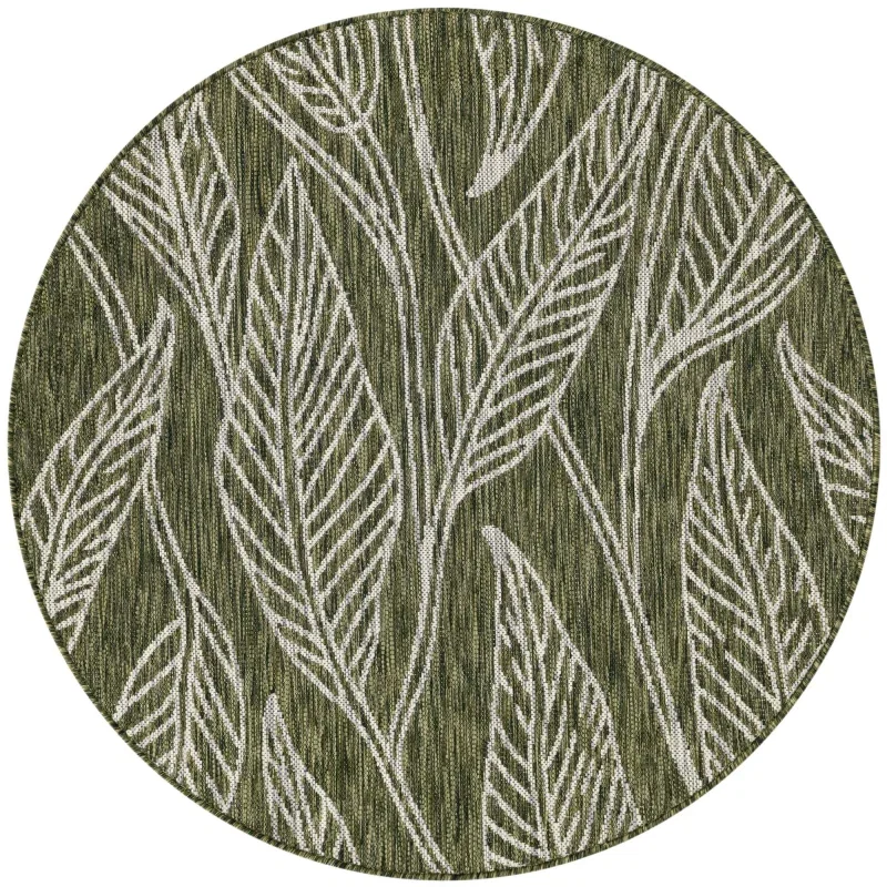 exterior botanico tallos en verde