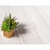 christie encuadre beige