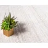 christie encuadre beige