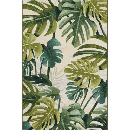exterior botanico monstera en verde
