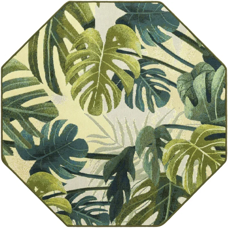 exterior botanico monstera en verde