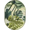 exterior botanico monstera en verde