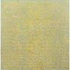 exterior hamptons piel de leopardo en amarillo y aqua