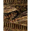 orbita abstracto en beige