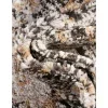 saxon abstracto en beige