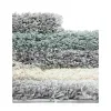 shag tacto abstracto en verde salvia
