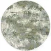 ow_evolution_8039e_round