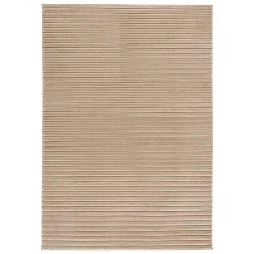 Tapete Dinos Líneas Finas en Beige