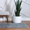 shag brisa en gris nube