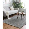 shag brisa en gris nube